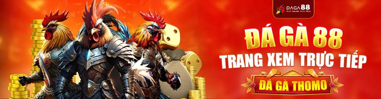 Sân đấu đá gà trực tuyến sôi động tại fun8 win
