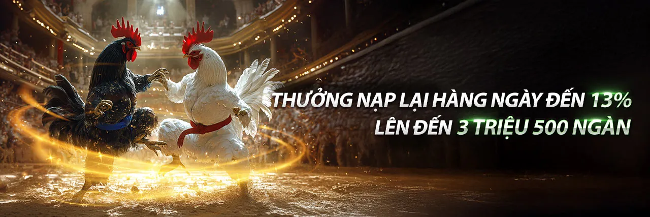 Đá gà trực tuyến Fun8 Win với trận đấu kịch tính